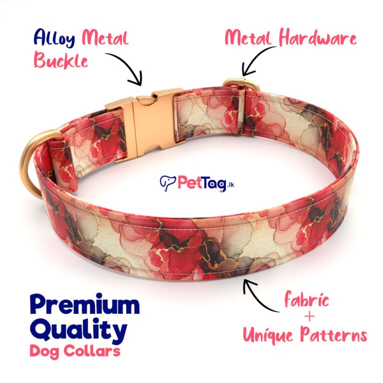 Premium-Dog-Collars