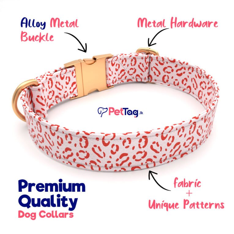 Premium-Dog-Collars