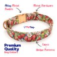 Premium-Dog-Collars