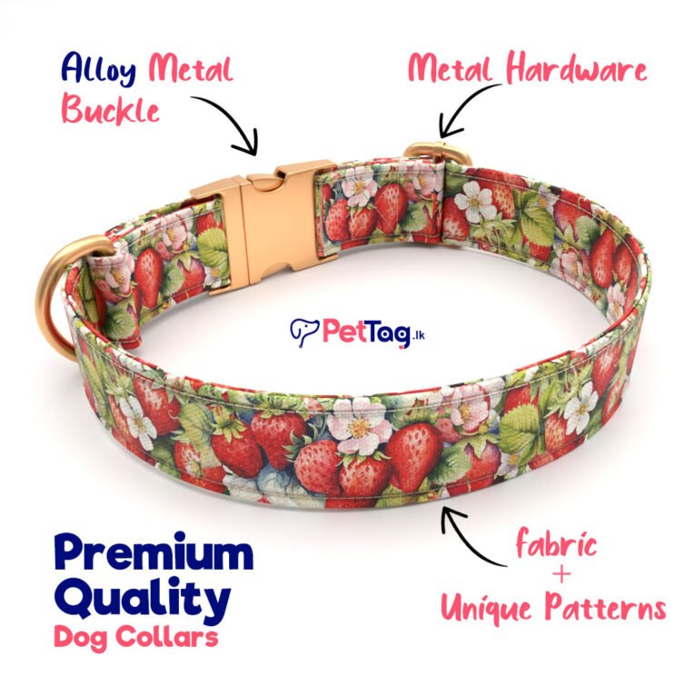 Premium-Dog-Collars