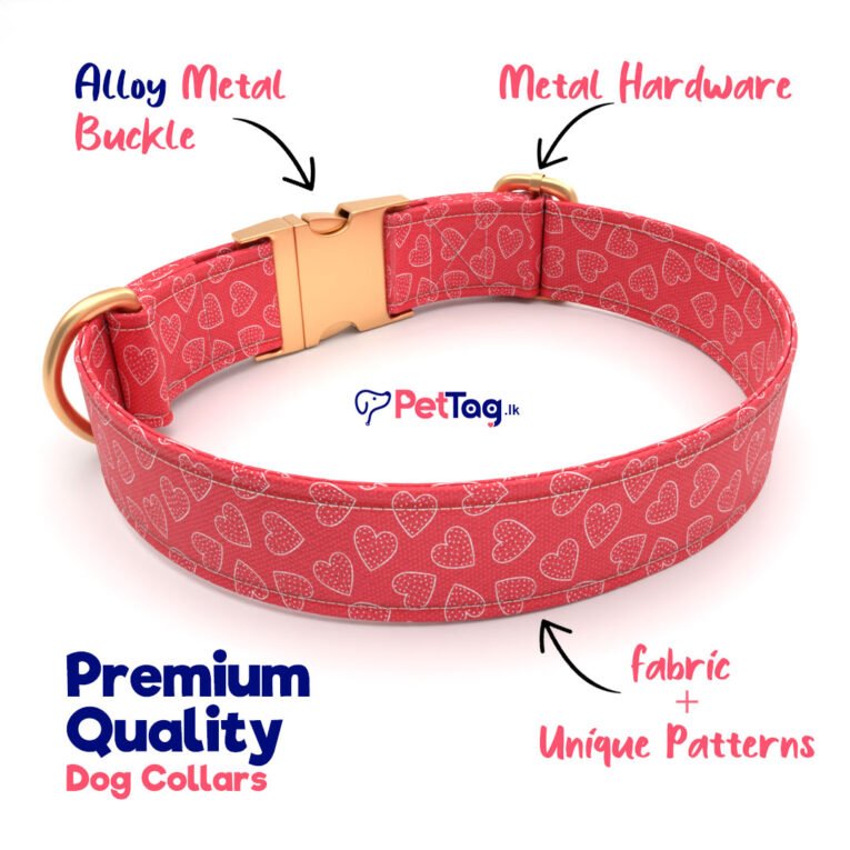 RegBG-Heart-Premium-Dog-Collars