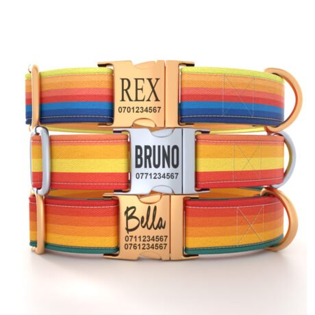 Personalized “Sunset Colors” Dog Collar – Custom Premium Adjustable Collar