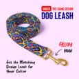 leash-Edit-website