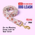 leash-Edit-website