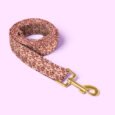 leash-website-product