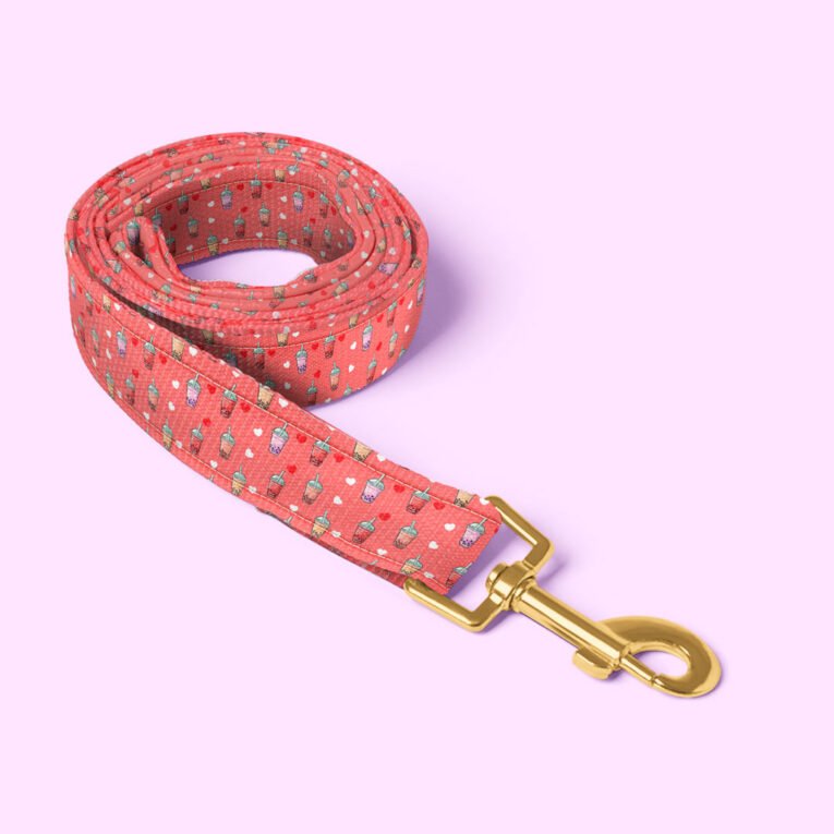 leash-website-product