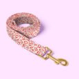 leash-website-product4