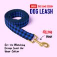 Blue-leash-Edit-website
