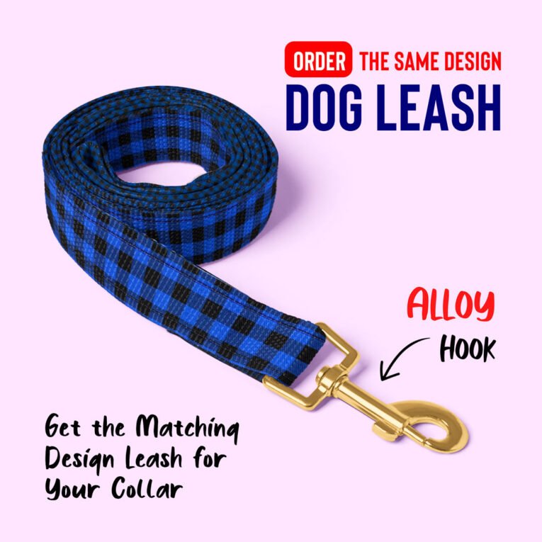 Blue-leash-Edit-website