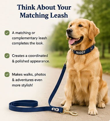 How to Choose the Perfect Color Palette for Your Golden Retriever's Custom Collar